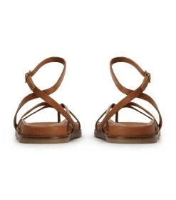 Lucie Tan Nappa Sandals -Tony Bianco Sales lucie tan nappa sandals 1288 4